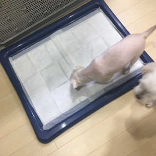 홍지윤님이 올린 리뷰 사진 2