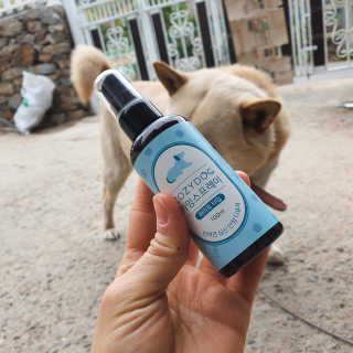 코지독 카밍스프레이 100ml — 5점을 준 리뷰어가 2020년 4월 올린 사용 사진