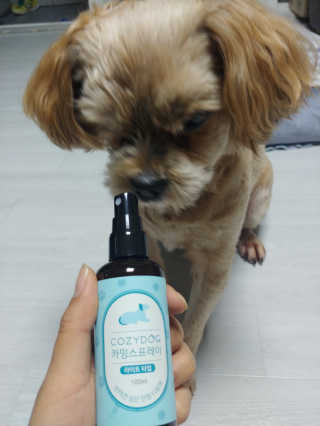 kiki._.yeji님이 올린 리뷰 사진 4