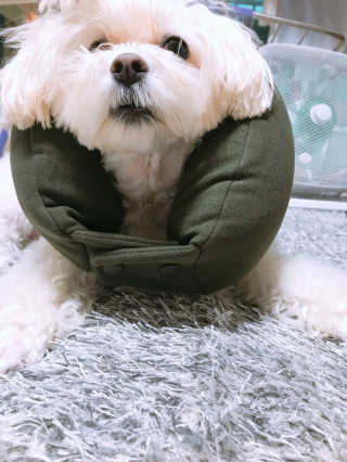 윤퍼플님이 올린 리뷰 사진 1