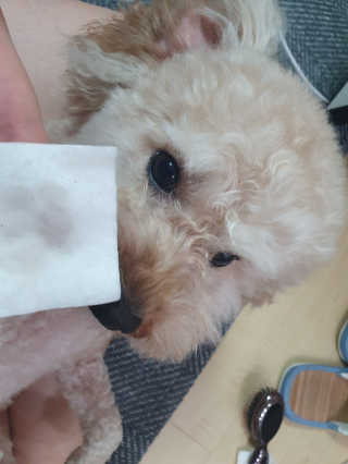 행복한코코네님이 올린 리뷰 사진 2