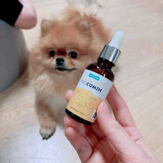 현둥잉님이 올린 리뷰 사진 1