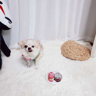 때니님이 올린 리뷰 사진 4