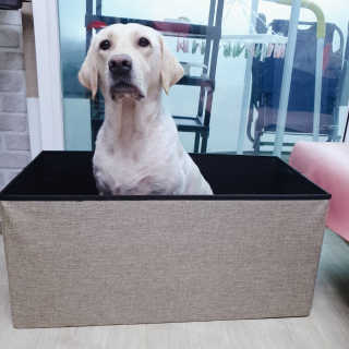 Lilly❤️님이 올린 리뷰 사진 2