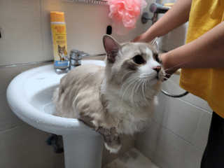 정이님이 올린 리뷰 사진 2