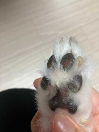 인이님이 올린 리뷰 사진 4