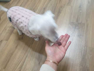 My Pet Care 천연단백질 관절건강에 개좋아 — 5점을 준 리뷰어가 2020년 12월 올린 사용 사진