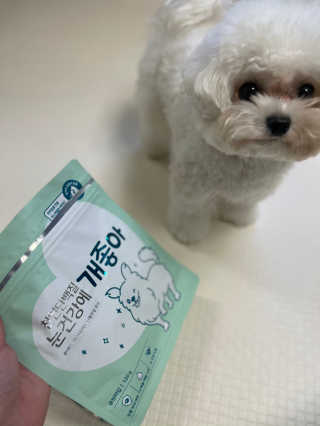 My Pet Care 천연단백질 눈건강에 개좋아 — 4.5점을 준 리뷰어가 2020년 12월 올린 사용 사진