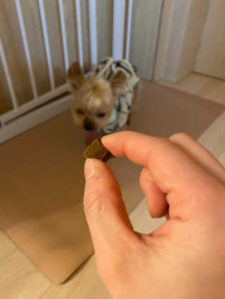 My Pet Care 천연단백질 관절건강에 개좋아 — 4.5점을 준 리뷰어가 2020년 11월 올린 사용 사진