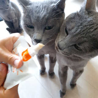 여온님이 올린 리뷰 사진 1