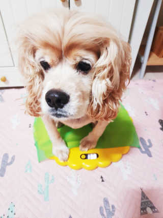 조소민님이 올린 리뷰 사진 2