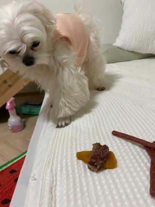 단발소녀님이 올린 리뷰 사진 2