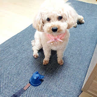 미니코코님이 올린 리뷰 사진 2