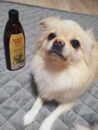 애리님님이 올린 리뷰 사진 1