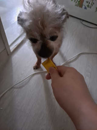 제라늄님이 올린 리뷰 사진 4