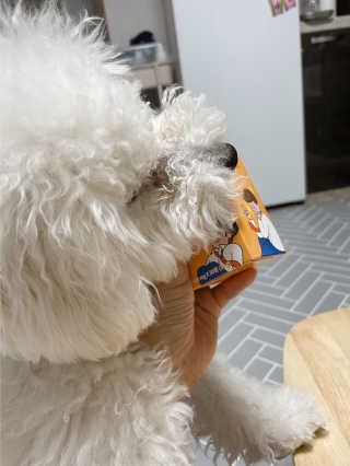 채채님이 올린 리뷰 사진 1