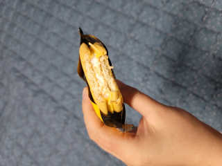 뚜디니님이 올린 리뷰 사진 3