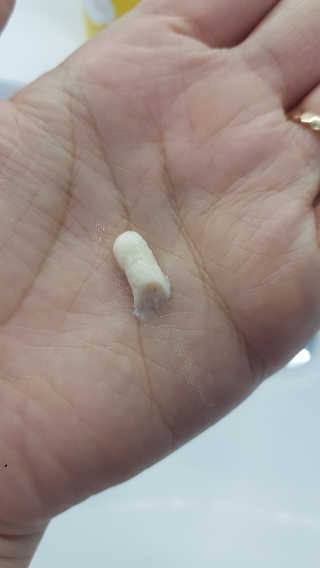 세딸맘님이 올린 리뷰 사진 2