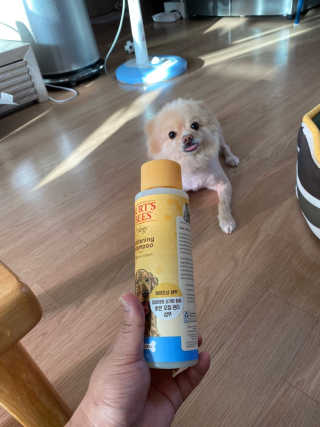 멋쟁이v님이 올린 리뷰 사진 1