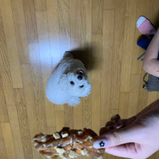 리뷰라뷰뷰님이 올린 리뷰 사진 1