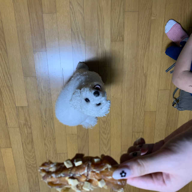 [간식먹개] 강아지 수제간식set 리뷰 사진