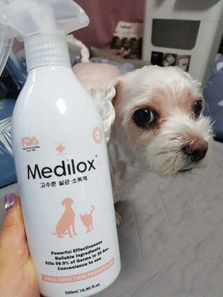 Medilox 메디록스 살균소독제_3종 500ml [택 1] — 4점을 준 리뷰어가 2020년 8월 올린 사용 사진