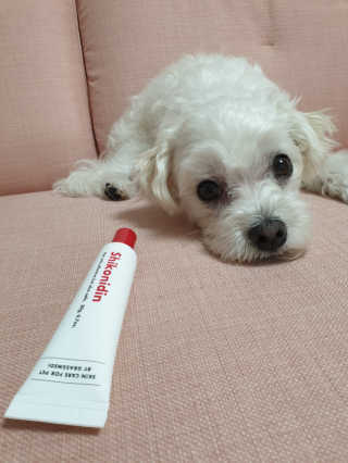 [자유펫] 시코니딘 고양이 강아지 피부 보습 연고 20g — 4점을 준 리뷰어가 2020년 7월 올린 사용 사진