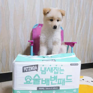 🎀딸 ♥️랑 🔆구🍭님이 올린 리뷰 사진 2