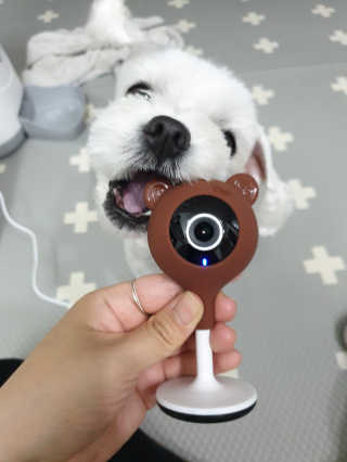 뽀야님이 올린 리뷰 사진 4