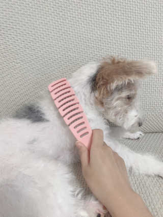 솜솜이2님이 올린 리뷰 사진 3