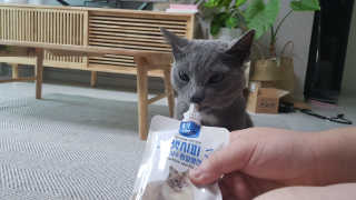 Persqabz님이 올린 리뷰 사진 1