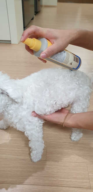 a남매둥이맘a님이 올린 리뷰 사진 1