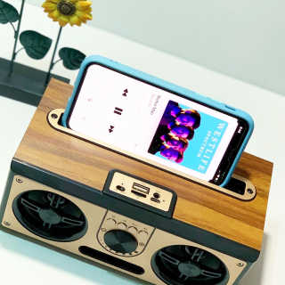 SEVIZ RETRO20W 레트로 블루투스 스피커 — 4점을 준 리뷰어가 2020년 7월 올린 사용 사진