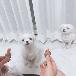 해피팡팡 고구마닭말이+고구마오리말이 [고구마간식2종] — 1점을 준 리뷰어가 2020년 4월 올린 사용 사진