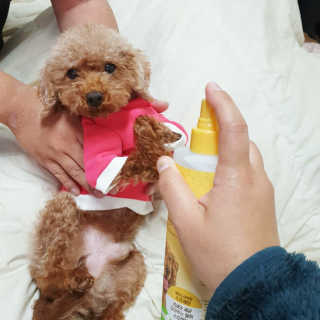 랭쑤님이 올린 리뷰 사진 2