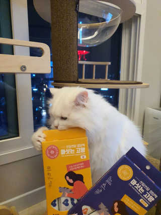 검은기름님이 올린 리뷰 사진 1