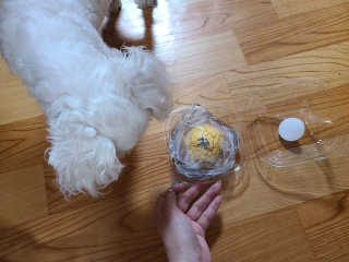 연이님이 올린 리뷰 사진 1