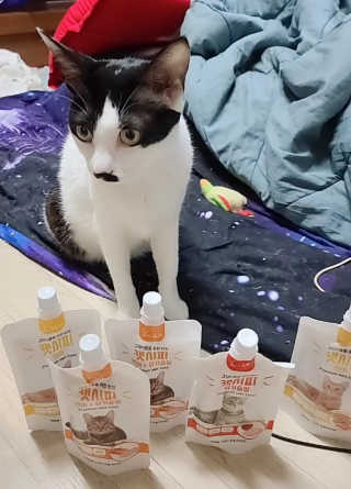 은지님이 올린 리뷰 사진 1