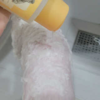 ❤꼬네우니🧡님이 올린 리뷰 사진 4