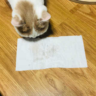 헬라맘님이 올린 리뷰 사진 3