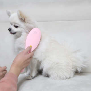 아이캔디 레인보우 볼륨S  브러쉬 for PET 미디엄 — 5점을 준 리뷰어가 2020년 12월 올린 사용 사진
