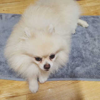 뇸뇸님이 올린 리뷰 사진 2