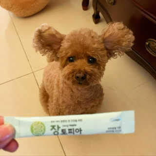 펫님닷컴 [장토피아]1일1스틱으로 간편한 반려동물 유산균 10ea — 5점을 준 리뷰어가 2020년 4월 올린 사용 사진