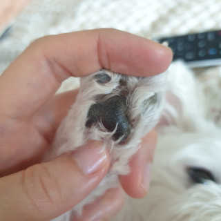 도르도르님이 올린 리뷰 사진 3