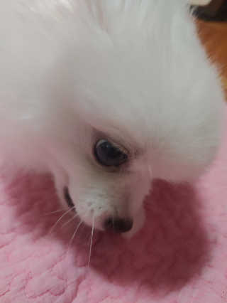 치르치르님이 올린 리뷰 사진 4