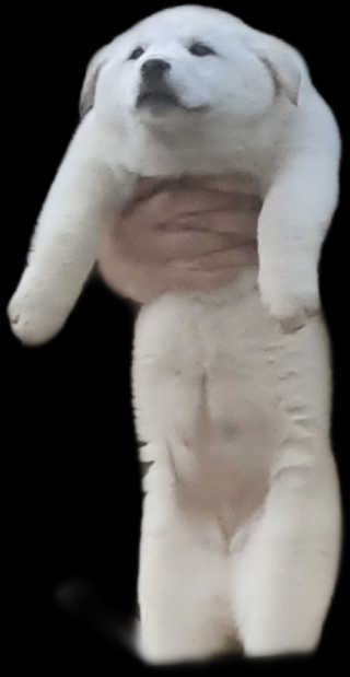 SeRyeonfit님이 올린 리뷰 사진 2