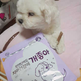 My Pet Care 천연단백질 치아건강에 개좋아 — 5점을 준 리뷰어가 2020년 11월 올린 사용 사진