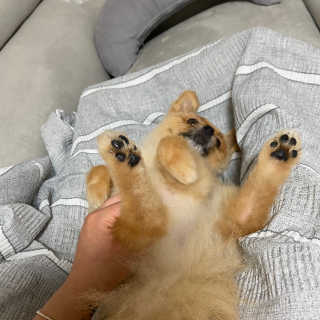 희공주님이 올린 리뷰 사진 4