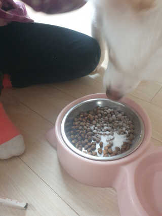 My Pet Care 모발과 모질 피부건강에 개좋아 — 3점을 준 리뷰어가 2020년 12월 올린 사용 사진