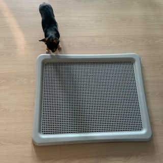 정열매님이 올린 리뷰 사진 3